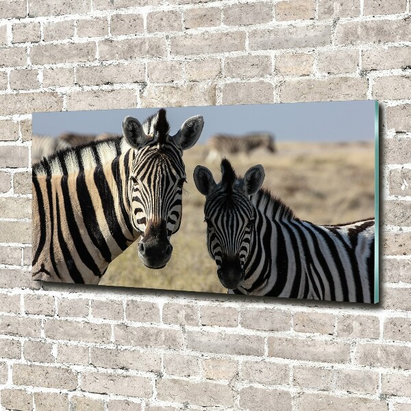 Glazen schilderij Twee zebra's