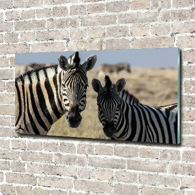 Glazen schilderij Twee zebra's