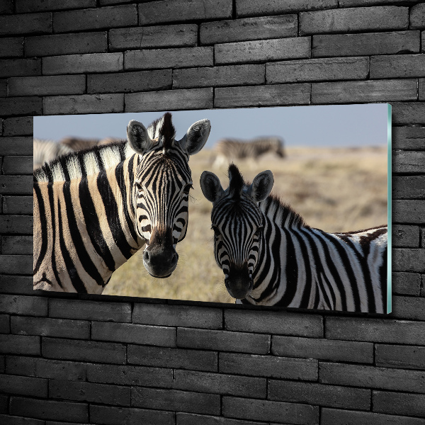 Glazen schilderij Twee zebra's