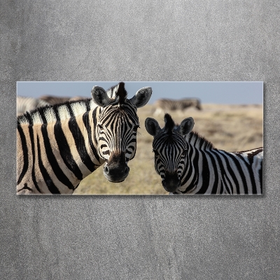 Glazen schilderij Twee zebra's