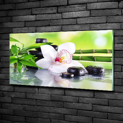 Glazen schilderij Orchidee