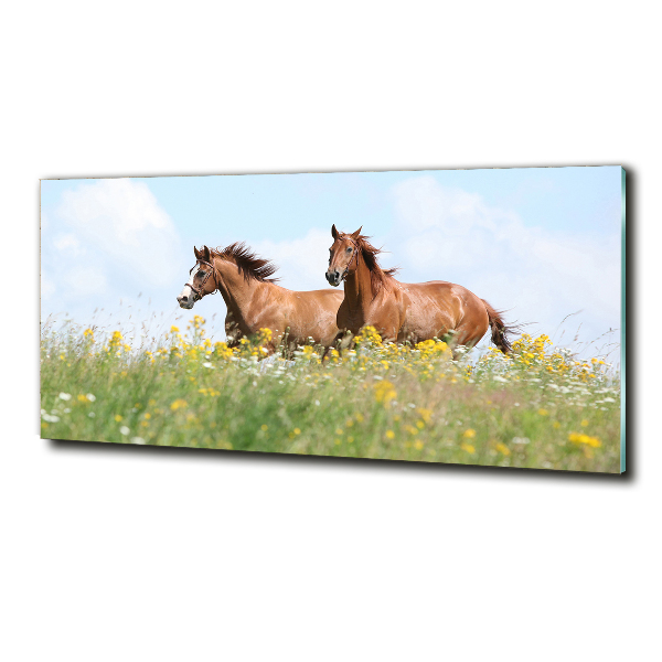 Foto schilderij op glas Twee paarden in galop