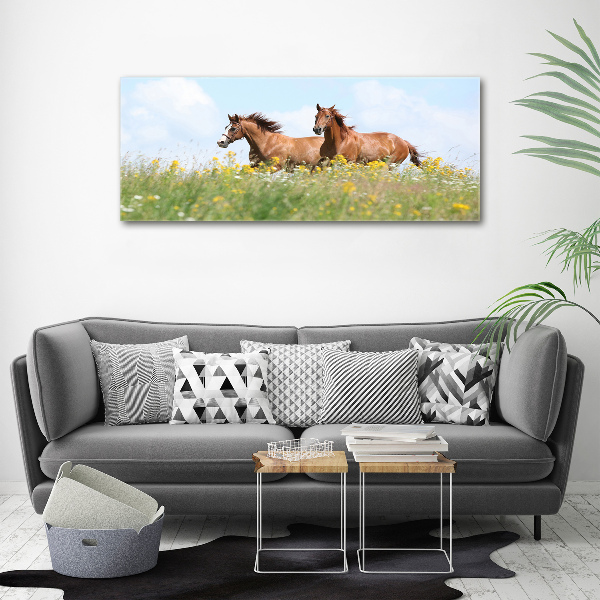 Foto schilderij op glas Twee paarden in galop