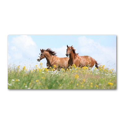 Foto schilderij op glas Twee paarden in galop