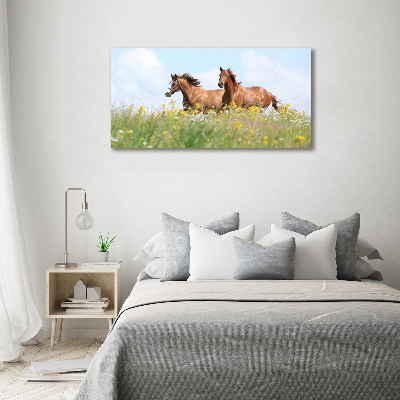 Foto schilderij op glas Twee paarden in galop