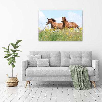 Foto schilderij op glas Twee paarden in galop