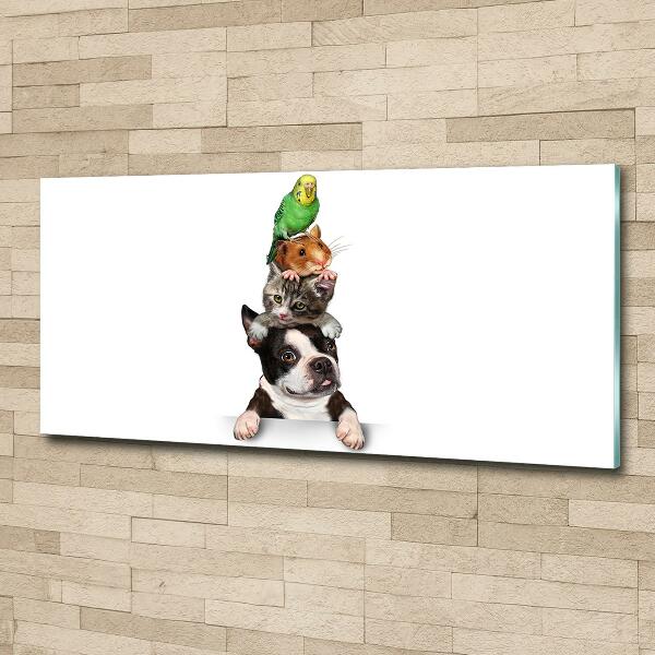 Foto-obraz szkło hartowane Grupa zwierząt