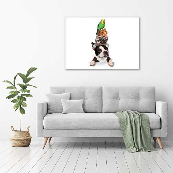 Foto-obraz szkło hartowane Grupa zwierząt