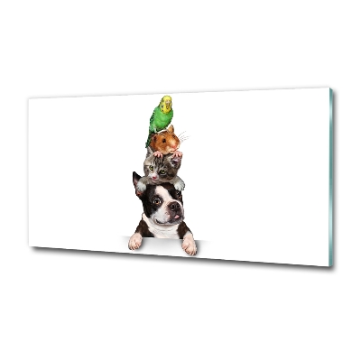 Foto-obraz szkło hartowane Grupa zwierząt