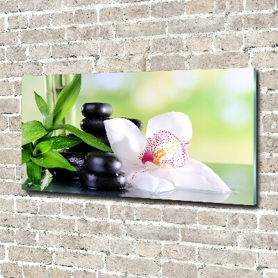 Schilderij op glas Orchidee