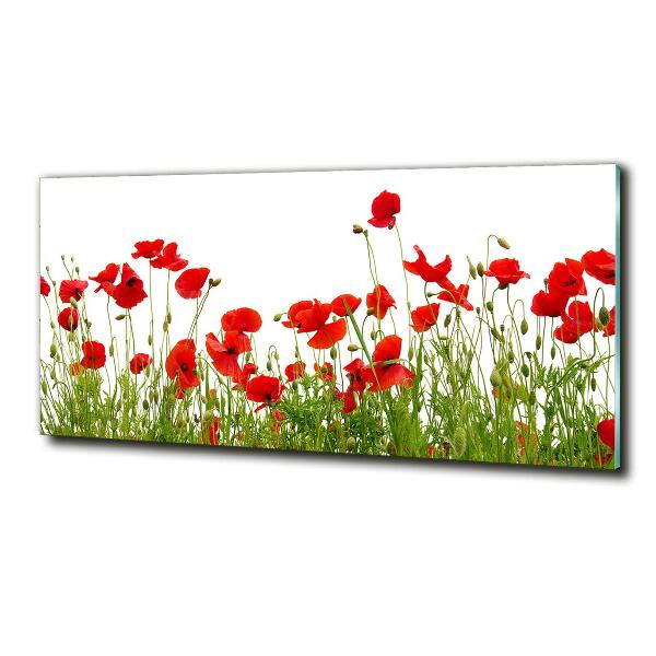 Schilderij glas Klaprozen