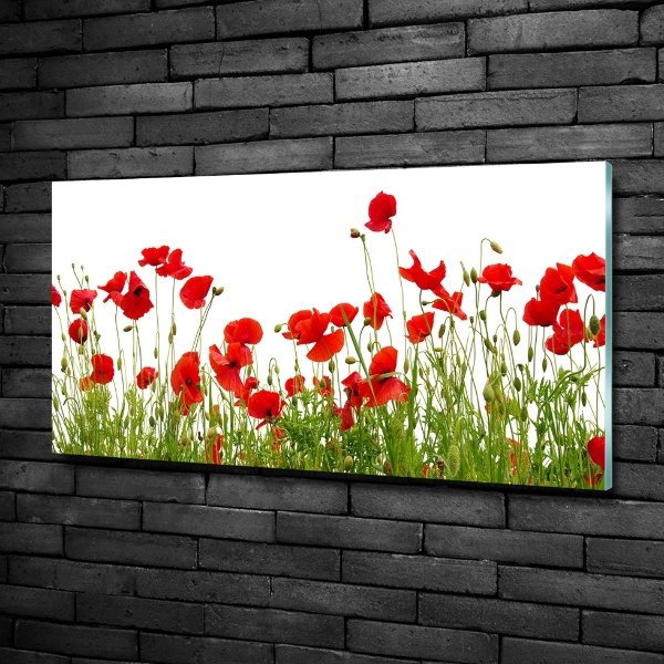 Schilderij glas Klaprozen