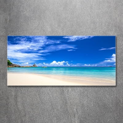 Schilderij op glas Tropisch strand