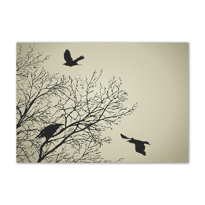 Foto schilderij op glas Kraaien in een boom