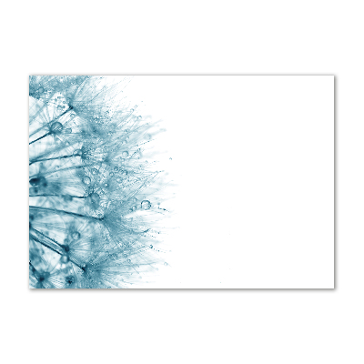 Foto schilderij op glas Paardebloem