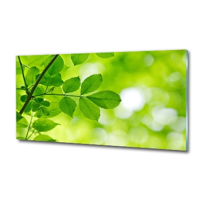 Schilderij glas Groene bladeren