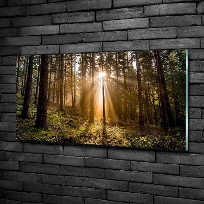 Glazen schilderij Zonlicht