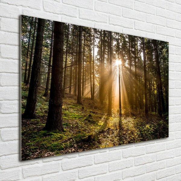 Glazen schilderij Zonlicht