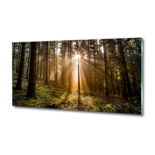 Glazen schilderij Zonlicht