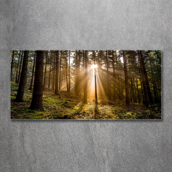 Glazen schilderij Zonlicht