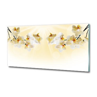 Foto schilderij op glas Orchidee