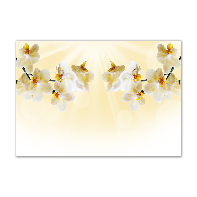 Foto schilderij op glas Orchidee