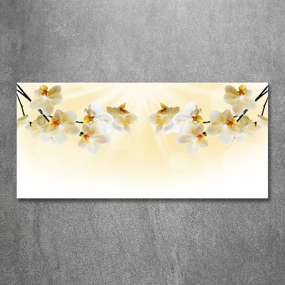 Foto schilderij op glas Orchidee