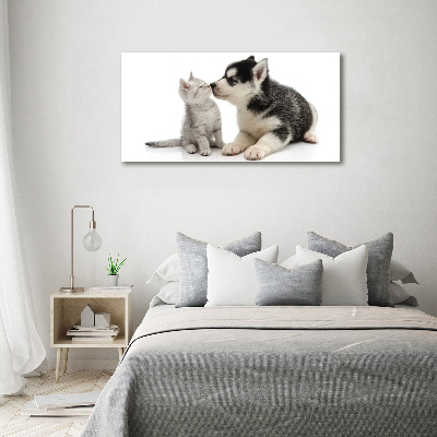 Schilderij glas Hond en kat