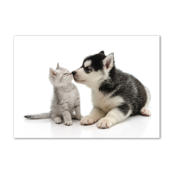 Schilderij glas Hond en kat