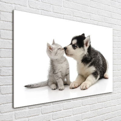 Schilderij glas Hond en kat