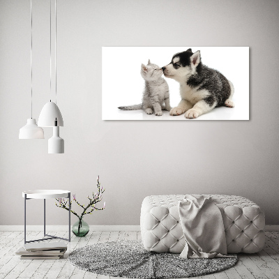 Schilderij glas Hond en kat