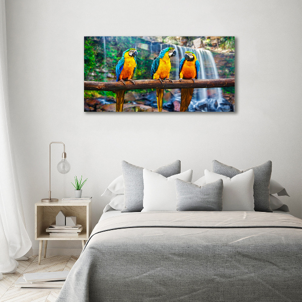Foto schilderij op glas Papegaaien op een tak