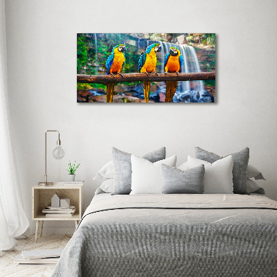 Foto schilderij op glas Papegaaien op een tak