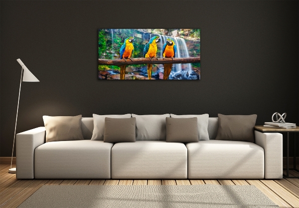 Foto schilderij op glas Papegaaien op een tak