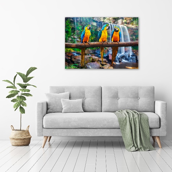 Foto schilderij op glas Papegaaien op een tak