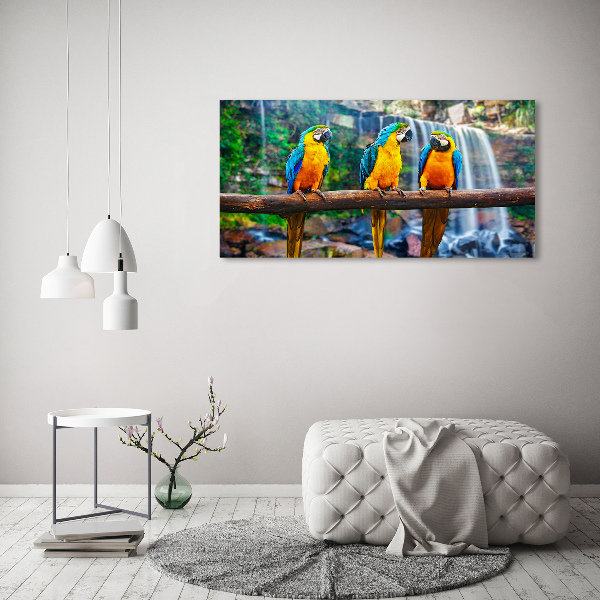 Foto schilderij op glas Papegaaien op een tak