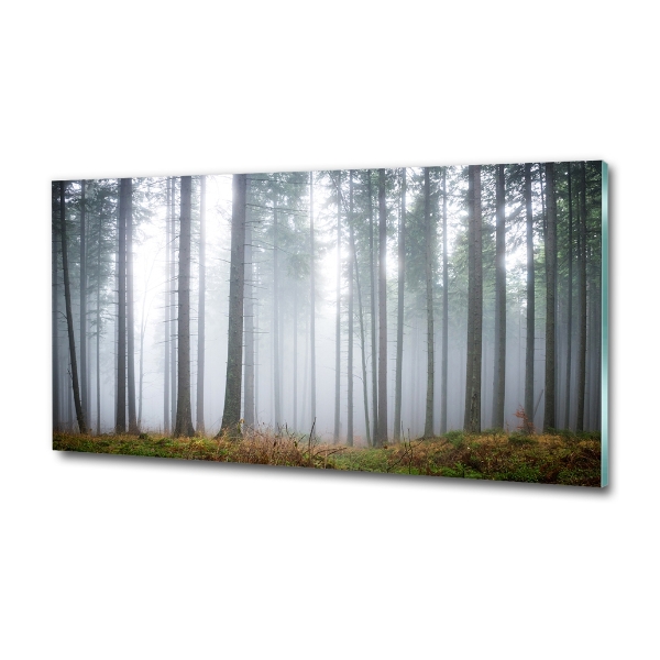 Schilderij glas Mist in het bos