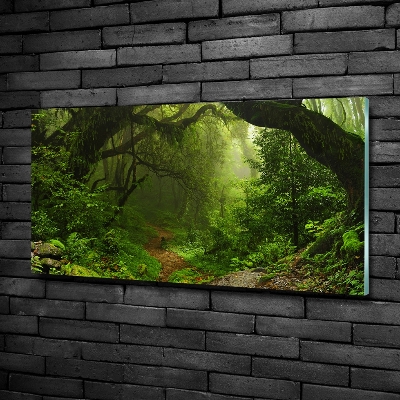 Schilderij op glas Oerwoud in Nepal