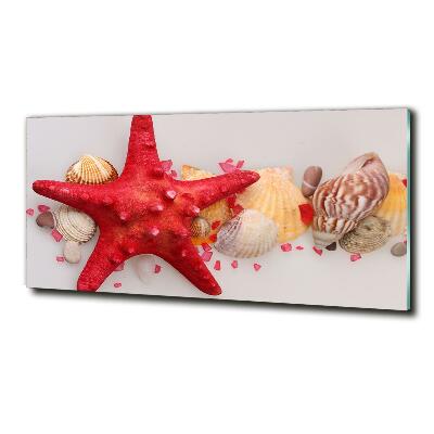 Glazen schilderij Zeesterren en schelpen