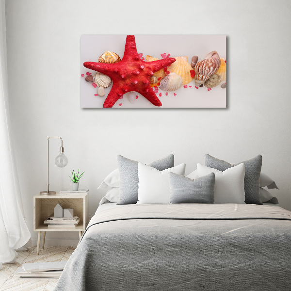 Glazen schilderij Zeesterren en schelpen