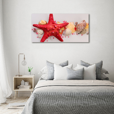 Glazen schilderij Zeesterren en schelpen