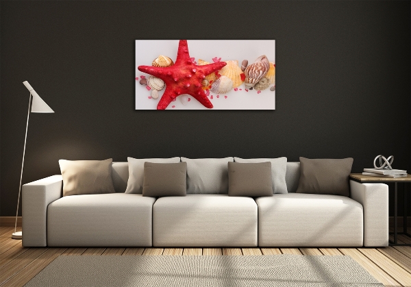 Glazen schilderij Zeesterren en schelpen