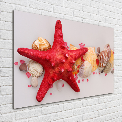 Glazen schilderij Zeesterren en schelpen