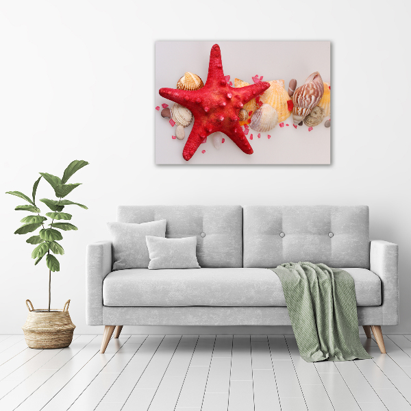 Glazen schilderij Zeesterren en schelpen