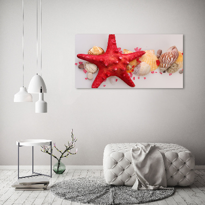 Glazen schilderij Zeesterren en schelpen