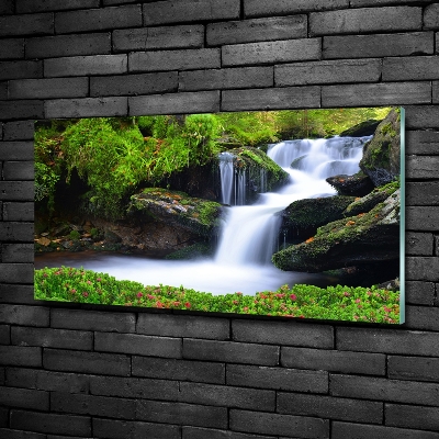 Schilderij op glas Waterval in het bos