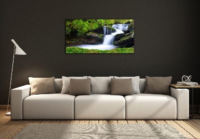 Schilderij op glas Waterval in het bos