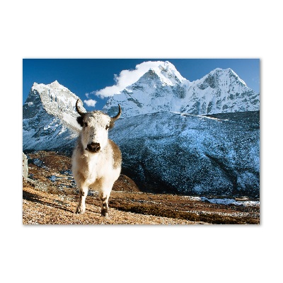 Schilderij op glas Zoals bergen