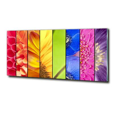 Schilderij glas Kleurrijke bloemen