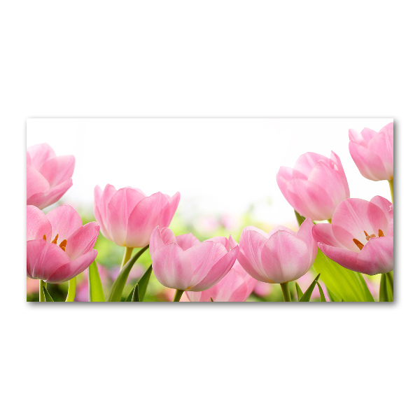 Glazen schilderij Roze tulpen